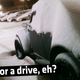 Illustration for article titled Why Yes You Can Drive A Baja Bug Covered In Snow